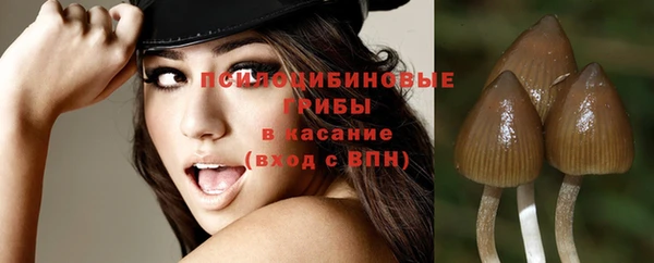 прущая мука Алексин
