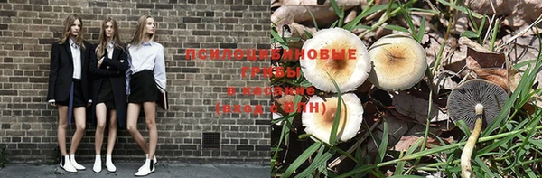 кокс Алексеевка