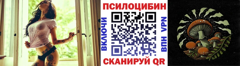 kraken ONION  Ядрин  Галлюциногенные грибы MAGIC MUSHROOMS 